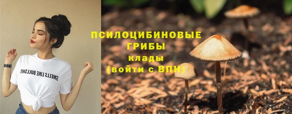 jwh Алзамай
