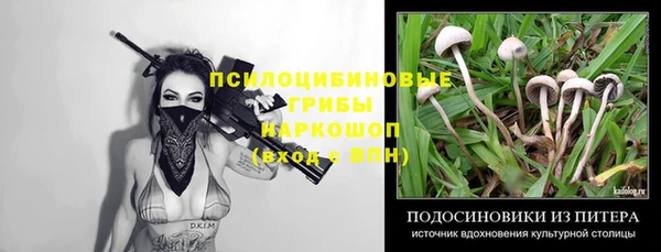 экстази Алексин