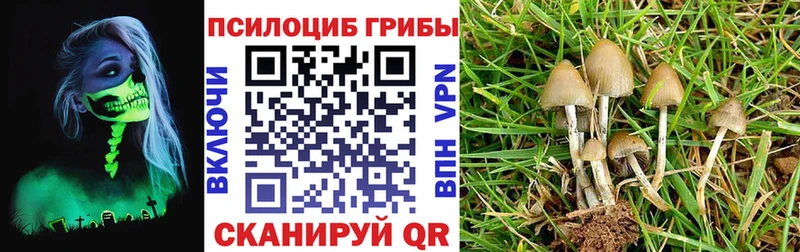 мориарти наркотические препараты  Лаишево  omg tor  Галлюциногенные грибы GOLDEN TEACHER  купить наркотик 