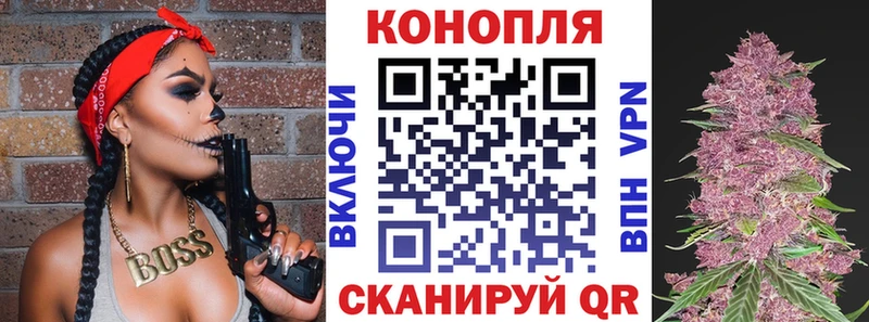 Конопля гибрид  Лаишево 